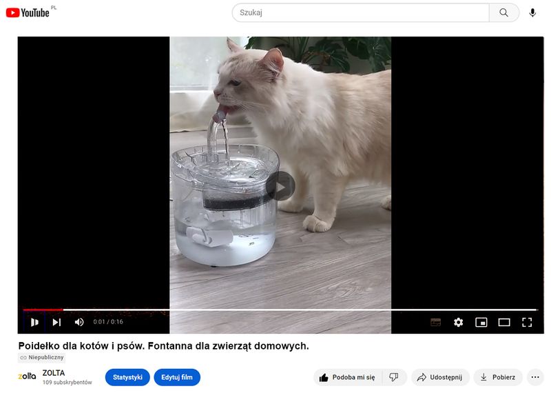 Poidełko dla zwierząt kota psa automatyczne fontanna na Arena.pl