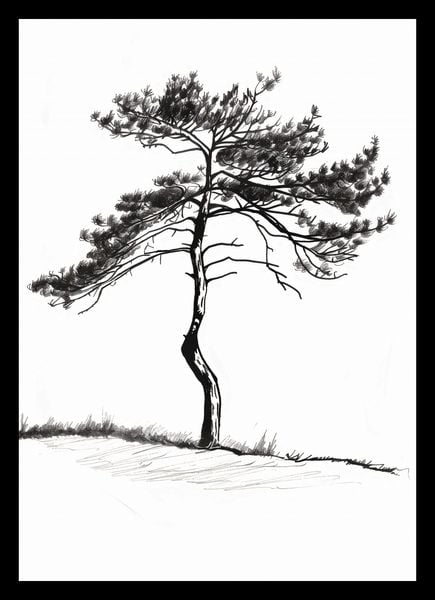 Plakat 21x29,7cm Samotna Sosna zdjęcie 2
