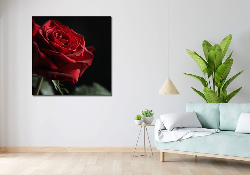 Obraz 100x100cm Róża w Półcieniu zdjęcie 2