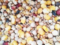 Karma dla gołębi Uniwersalna U BEST NATURAL 5kg