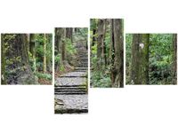 OBRAZ JAPOŃSKA ŚCIEŻKA PRZEZ LAS