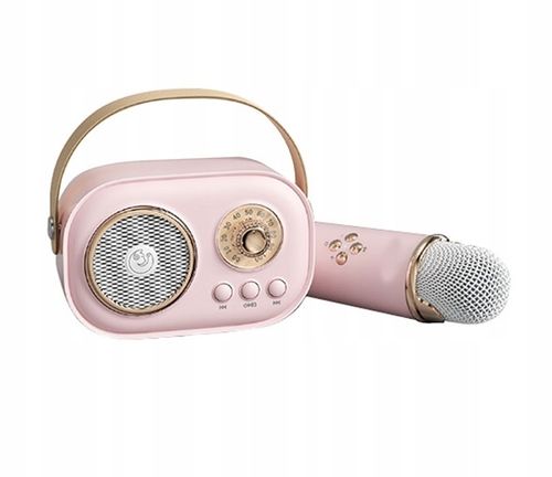 MIKROFON BEZPRZEWODOWY KARAOKE GŁOŚNIK BLUETOOTH RETRO DLA DZIECI PREZENT na Arena.pl