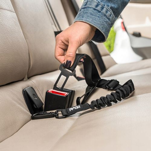 PAS BEZPIECZEŃSTWA SMYCZ DLA PSA Kota Pasy ISOFIX 2w1 DO SAMOCHODU AUTA na Arena.pl