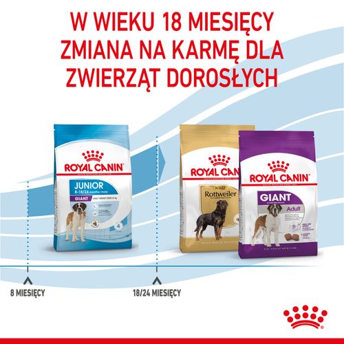 royal canin giant junior 15kg na Arena.pl