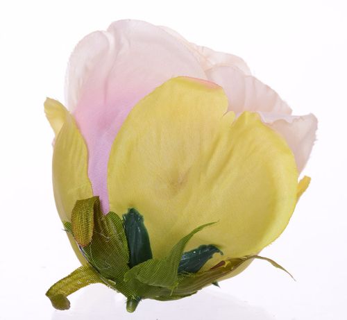 Róża wyrobowa morelowa na Arena.pl