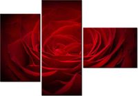 100CM 80 OBRAZ 3 ELEM RÓŻA UKOCHANEJ ŚCIENNY