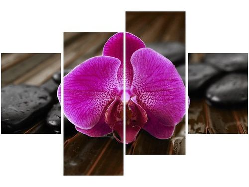 140CM 70 OBRAZ STORCZYK ANETY ŚCIENNY na Arena.pl