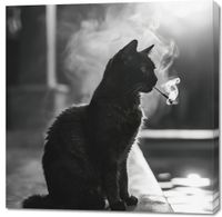 Obraz 100x100cm Kocia Przerwa