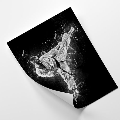Plakat, Karateka 50x70 na Arena.pl