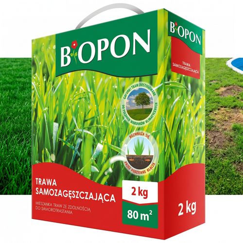 BOPON - Trawa Samozagęszczająca 80 m² - 2 kg na Arena.pl