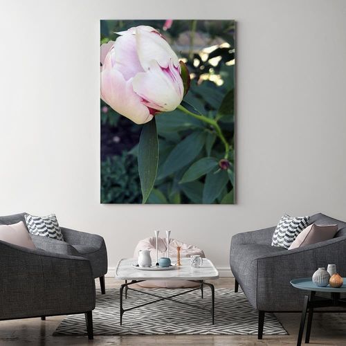 Obraz na płótnie - Canvas, Biała piwonia 60x90 na Arena.pl