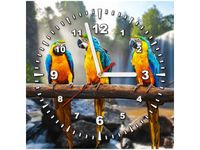 product-compare-58616741