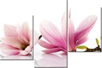 product-compare-58699443