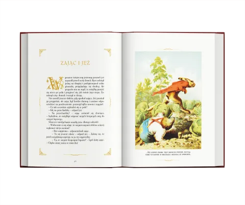 Baśnie braci Grimm na Arena.pl