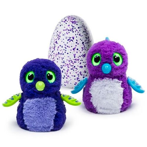 Hatchimals Jajko Smoczydło Ast. na Arena.pl