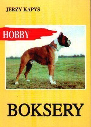 Boksery Jerzy Kapyś na Arena.pl