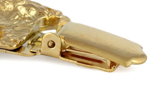 Spaniel Angielski Springer - klips - 1037 na Arena.pl