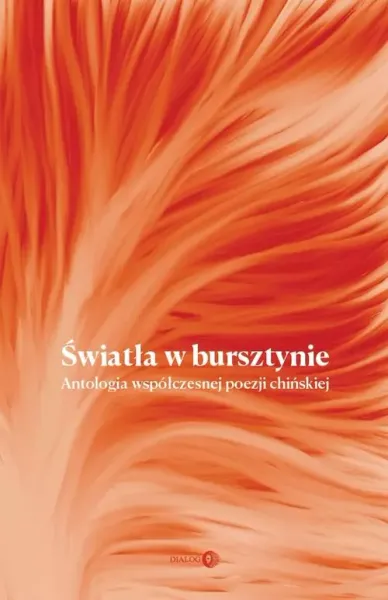 Światła w bursztynie zdjęcie 1