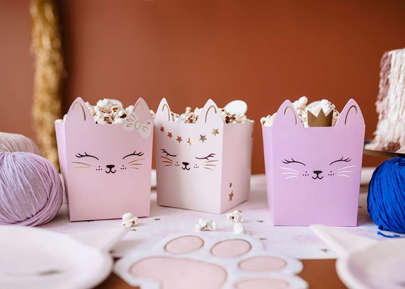 Pudełka na popcorn kotki, 3 szt. zdjęcie 3