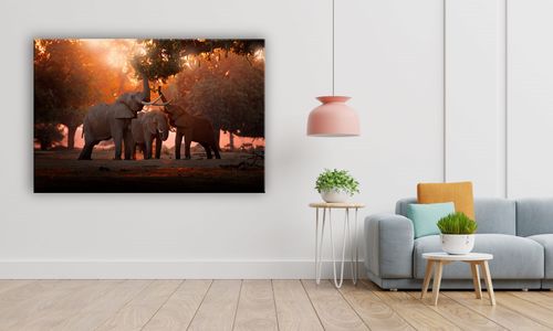 OBRAZ NA PŁÓTNIE 092 Słonie 30x20cm na Arena.pl