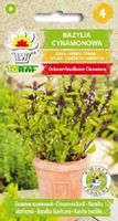 Bazylia cynamonowa nasiona 0,5 g. zioła
