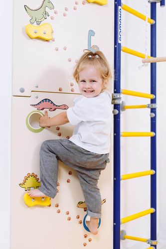 ścianka wspinaczkowa Dino na Arena.pl