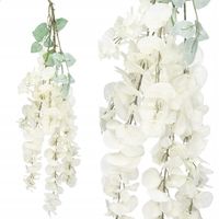 WISTERIA WISZĄCA GLICYNIA GĘSTA ZWIS PNĄCZE XXL 6 pędów 110cm