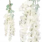WISTERIA WISZĄCA GLICYNIA GĘSTA ZWIS PNĄCZE XXL 6 pędów 110cm