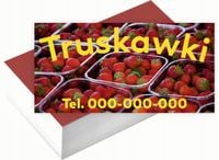 Wizytówki firmowe 200 szt DUŻO WZORÓW do wyboru TRUSKAWKI