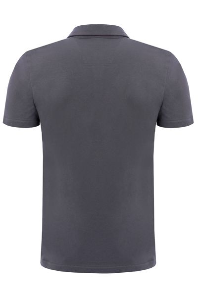 Koszulka męska polo stalowa Luca Rozmiar - M zdjęcie 2