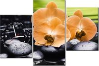 product-compare-58639585