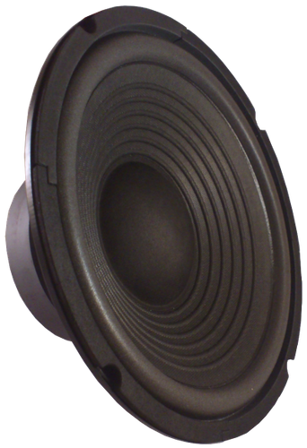 Głośnik Fonics 10 Cali  EW 100 8 ohm na Arena.pl