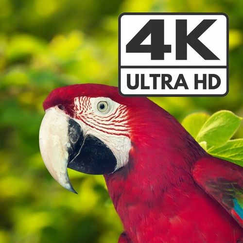 Splitter HDMI 4K Multi Viewer 4x1 Spacetronik SPH-MV41PIP-Q2 Rozdzielacz na Arena.pl