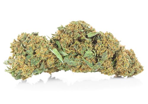 Susz konopny CBD | JACK HERER | 1 g na Arena.pl
