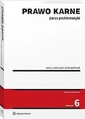 Prawo karne Zarys problematyki Andrzej Marek, Jerzy Lachowski
