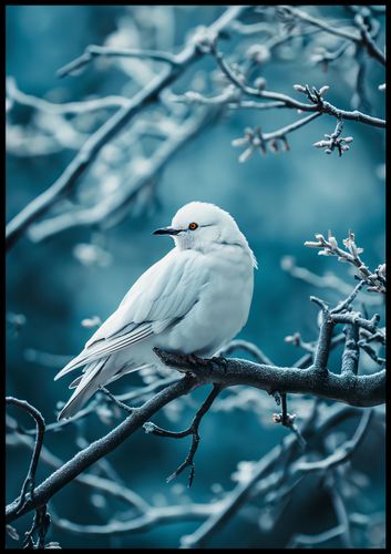 Plakat 70x100cm Perłowy Ptak na Arena.pl