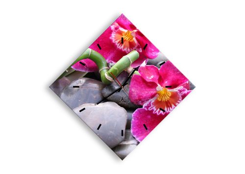 Zegar Ścienny - Storczyk Kamień - 40X40 Cm - C3Ad40X40-0465 na Arena.pl