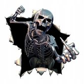 Szkielet skull dziura fuck off bak naklejka motor