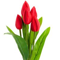 BUKIET TULIPANÓW CZERWONY PIĘKNY JAK ŻYWY TULIPANY