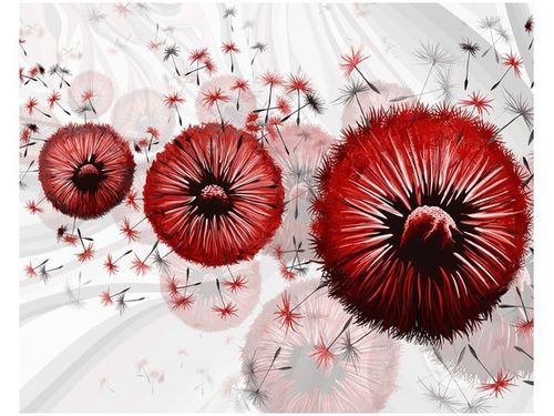 40CM 50CM OBRAZEK ŚCIENNY CZERWONE DMUCHAWCE 6 DRUK PŁÓTNO OBRAZ na Arena.pl