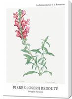 Obraz 70x100cm Design Dragon Flowers, Redoute Vintage do Salonu
