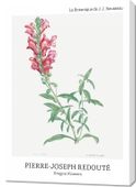 Obraz 70x100cm Design Dragon Flowers, Redoute Vintage do Salonu