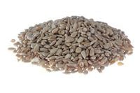 Słonecznik Łuskany Ziarno Słonecznika 25 kg