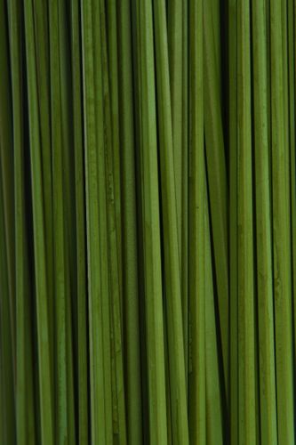 Trawa Long Banch 147 Cm na Arena.pl