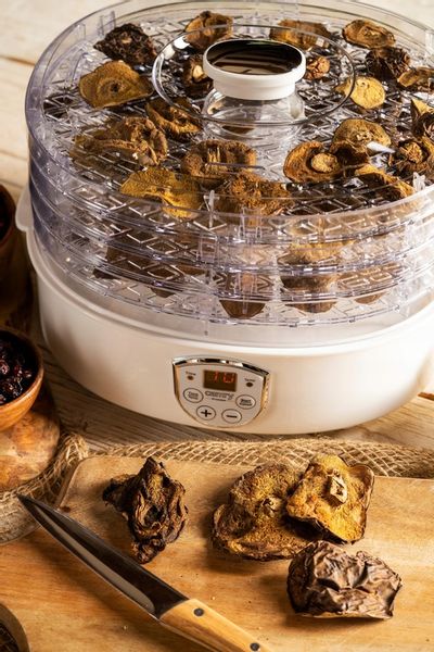 Suszarka do grzybów ziół i żywności 550W timer LCD zdjęcie 5