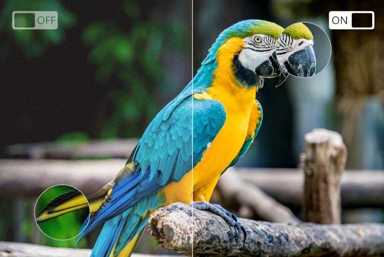 Telewizor do kampera smart tv 32 cale HD WiFi DVBT2 YouTube Netflix 12V zdjęcie 10