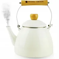 CZAJNIK EMALIOWANY STALOWY BIAŁY DUŻY 2L INDUKCJA GAZ KUCHENKA ELEKTRYCZNA