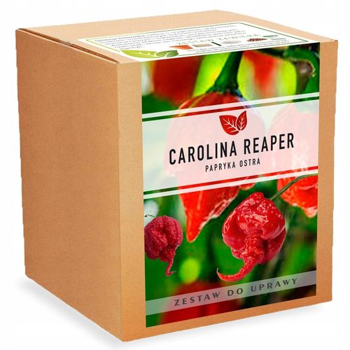 Papryka Carolina Reaper HP22B Red nasiona Zestaw do uprawy XXL Bardzo Ostra na Arena.pl