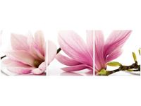 product-compare-58646477