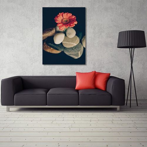 Deco Panel, Martwa natura 6 30x40 na Arena.pl